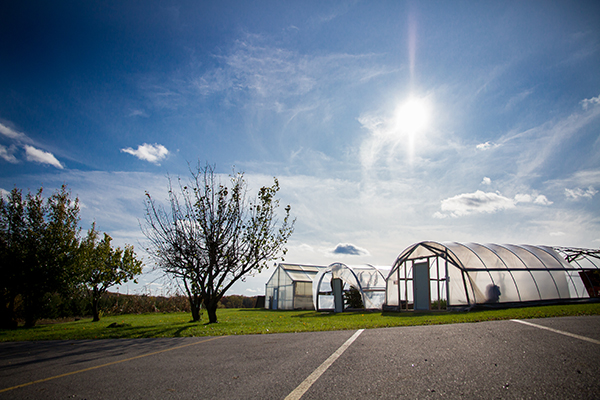 Image of hoop houses