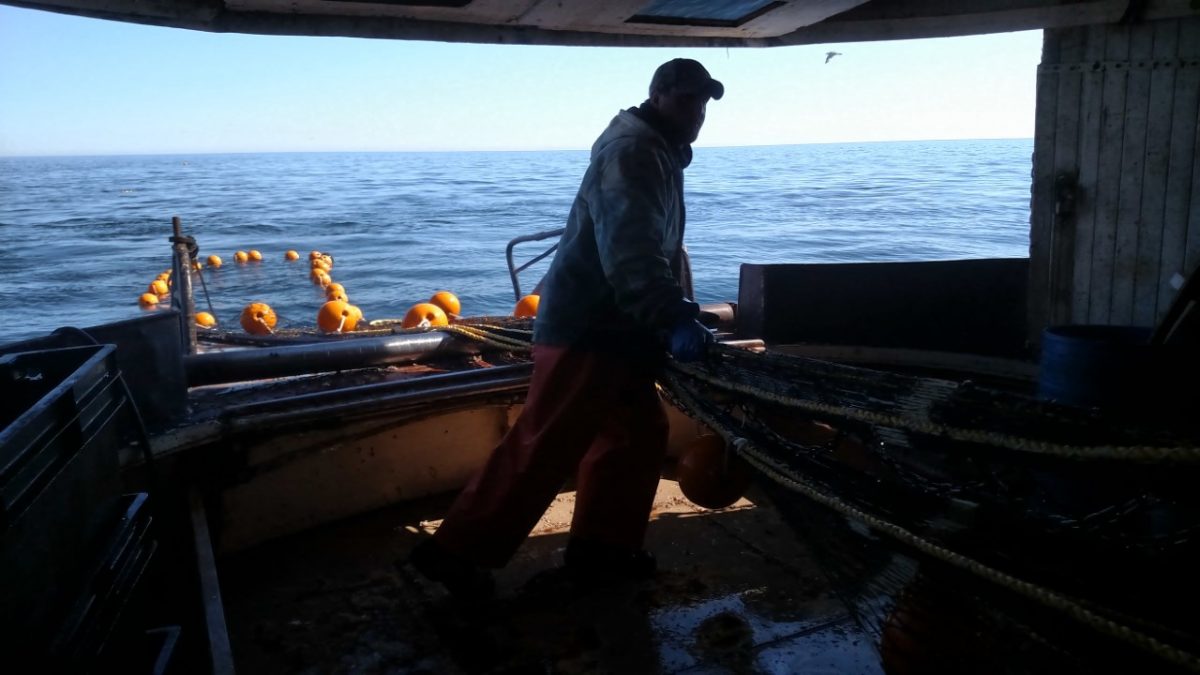 Fish Expert Keeps us ‘Current’ on Great Lakes Issues