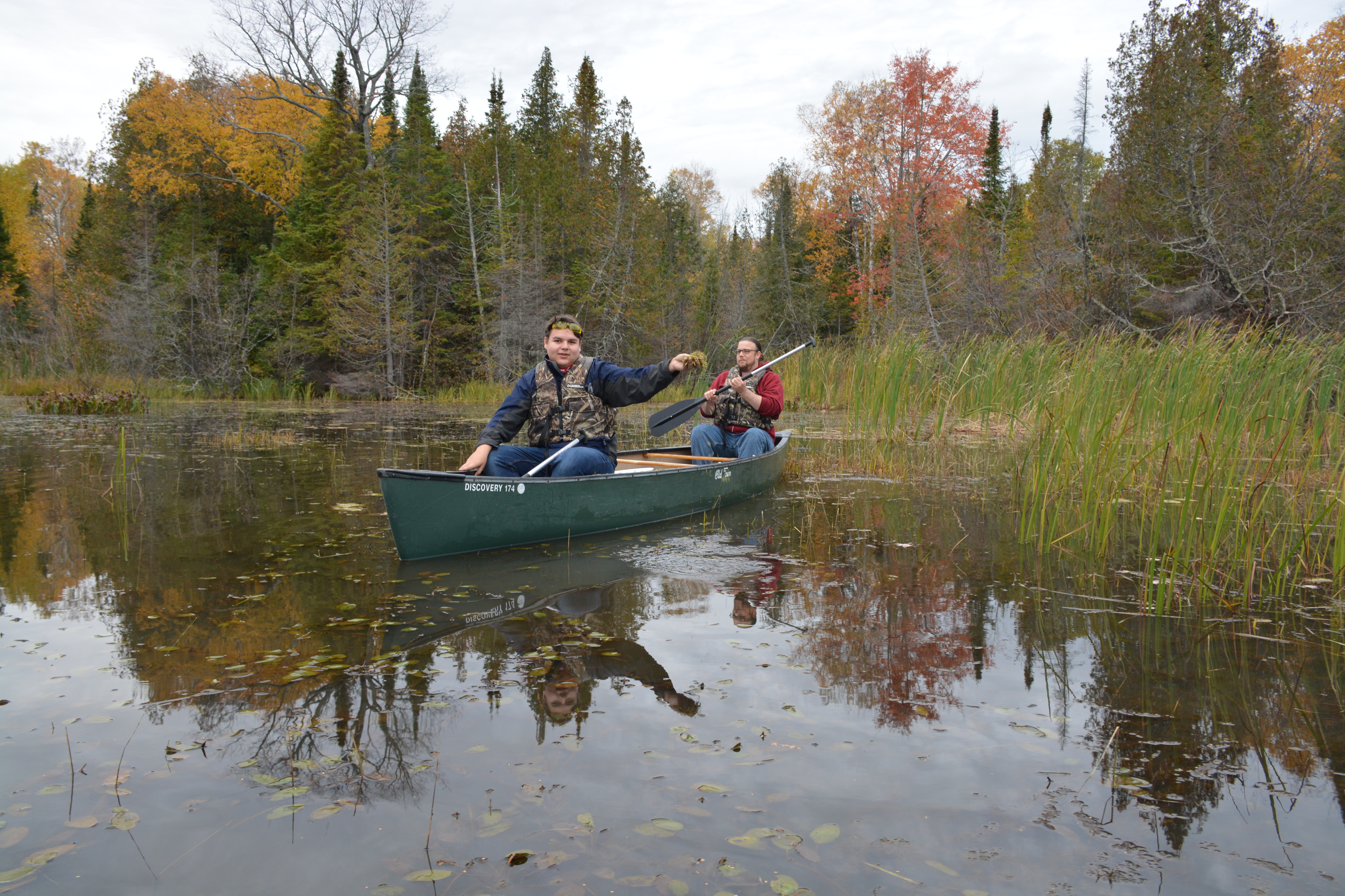 Bayfield High School Alternative Education students worked with Red Cliff tribal members in an effort to place manoomin (wild rice) seed in the Raspberry River, a Lake Superior tributary. (Image courtesy of Rick Erickson/Bayfield High School)